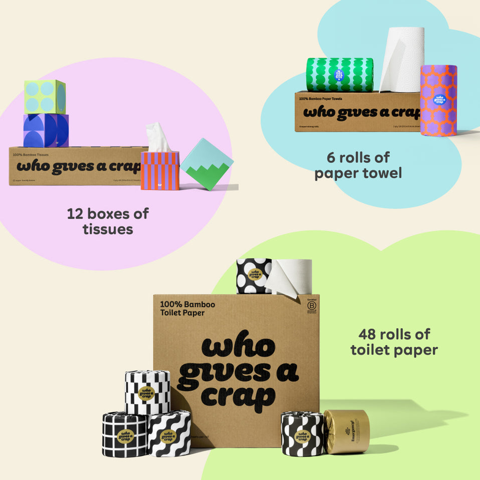 Visualisation of bundle inclusions calling out the bundle comes with 48 rolls of toilet paper, 6 rolls of paper towel and 12 boxes of tissues.