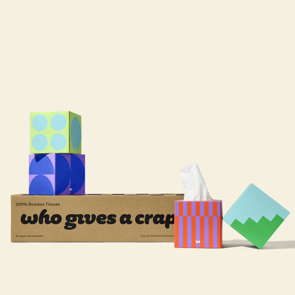 !!!A box of Who Gives A Crap 100% Bamboo tissues with colourful tissues boxes - eco-friendly and sustainable